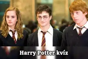 Melyik történelmi alak tűnik fel a Harry Potter első részében? Csak a legnagyobb fanatikusok tudják erre a választ!