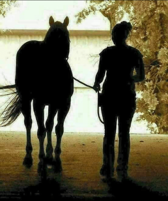 53609518 2311494452447468 5707157499317059584 n