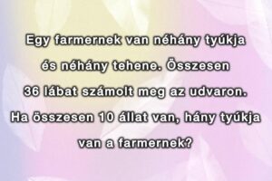 Szöveges matek kvíz: Nem sokan tudják 30 másodpercen belül megoldani ezt a matek feladatot!