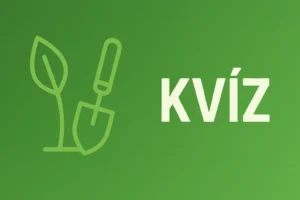 Kertészeti kvíz: Paprika, paradicsom és uborka ültetés, te biztos jól tudod, hogy mit hogyan kell?