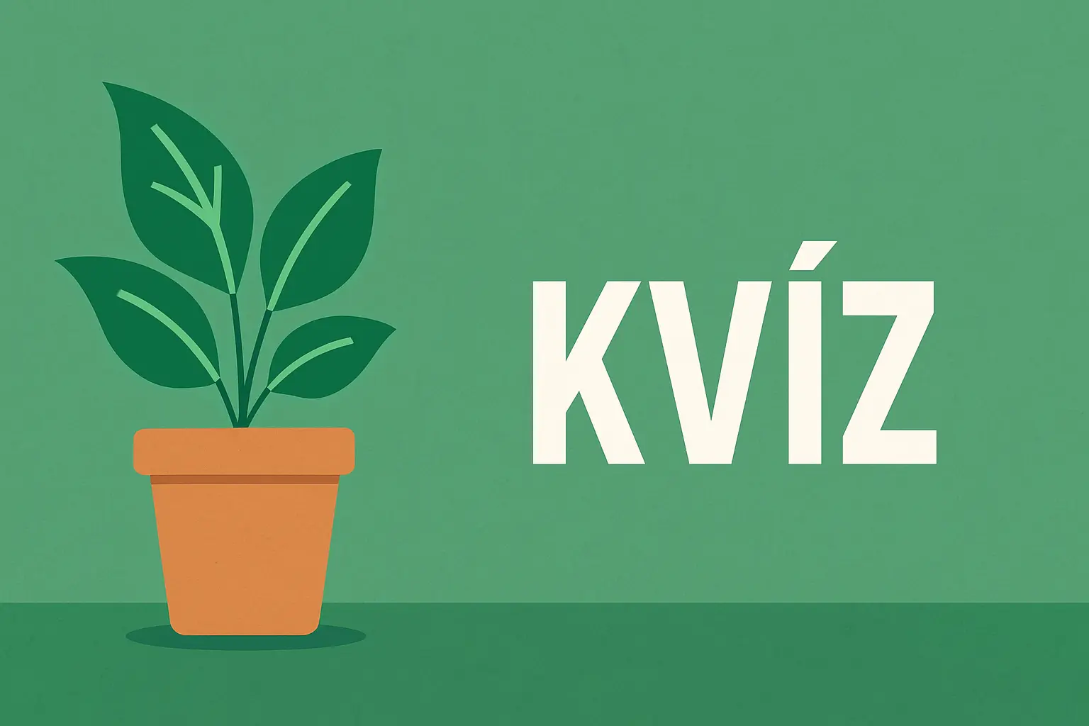 Szobanövényes kvíz: Te tudod, mi kell egy boldog levélkének?