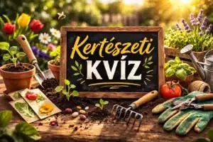 Kertészeti kvíz: Teszteld, mennyire zöld a tudásod! Most megmutathatod!