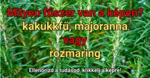 Napi ételfelismerő kvíz: Kevesen tudják csak felismerni képről ezt a fűszert!