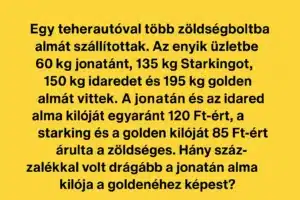 Napi szöveges feladat: Ha ezt hibátlanul megoldod, a gondolkozásod sokkal-sokkal átlag felett van!