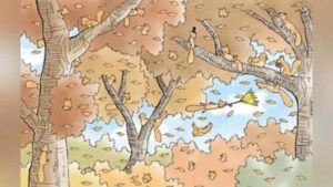 Tippelj rá, hány mókus látható a képen! Meglepődsz a válaszon!