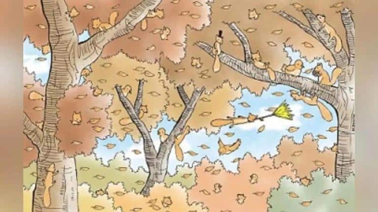 Tippelj rá, hány mókus látható a képen! Meglepődsz a válaszon!