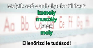 Napi helyesírás kvíz: 10-ből 8-an nem tudják, melyik szó helytelen az alábbiak közül!