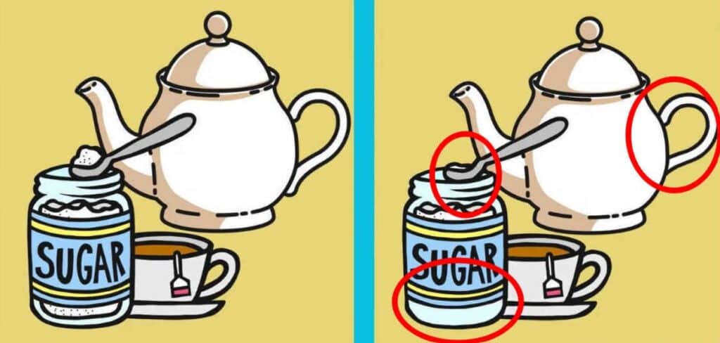 mceu 50469907421692019413495 1024x488 1