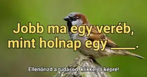 Közmondás kvíz: Tudod folytatni ezt a közmondást?