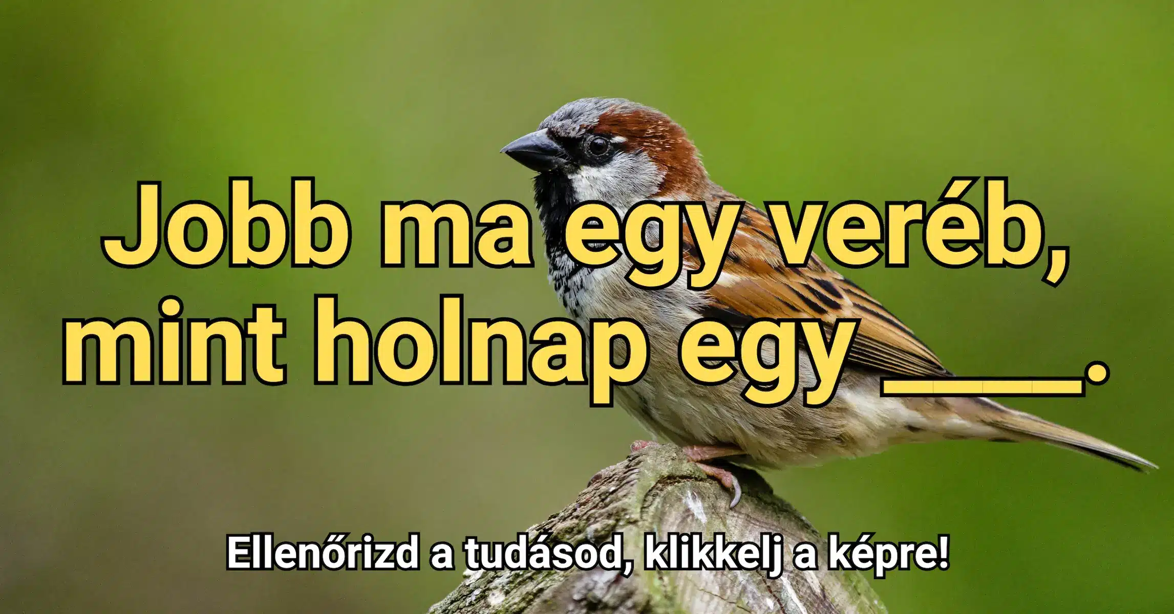 Közmondás kvíz: Tudod folytatni ezt a közmondást?