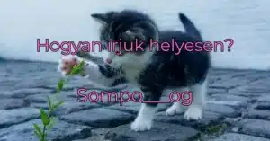 Hétvégi helyesírás feladvány: Az örök kérdés - j vagy ly?