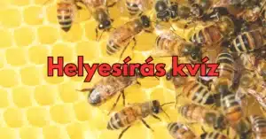 Napi helyesírás kvíz: Tudod mind az 5-re a jó választ?