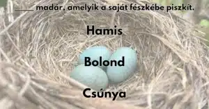 Napi közmondás kvíz: Ki tudod egészíteni a közmondást?