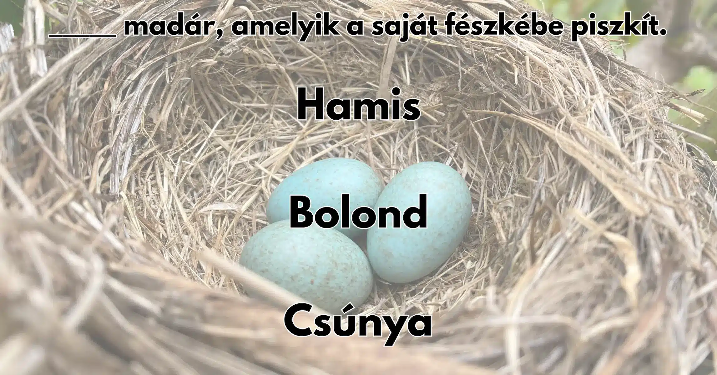 Napi közmondás kvíz: Ki tudod egészíteni a közmondást?