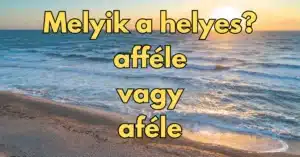 Napi helyesírás kvíz: 1 feladat, 1 jó megoldás. Menni fog?