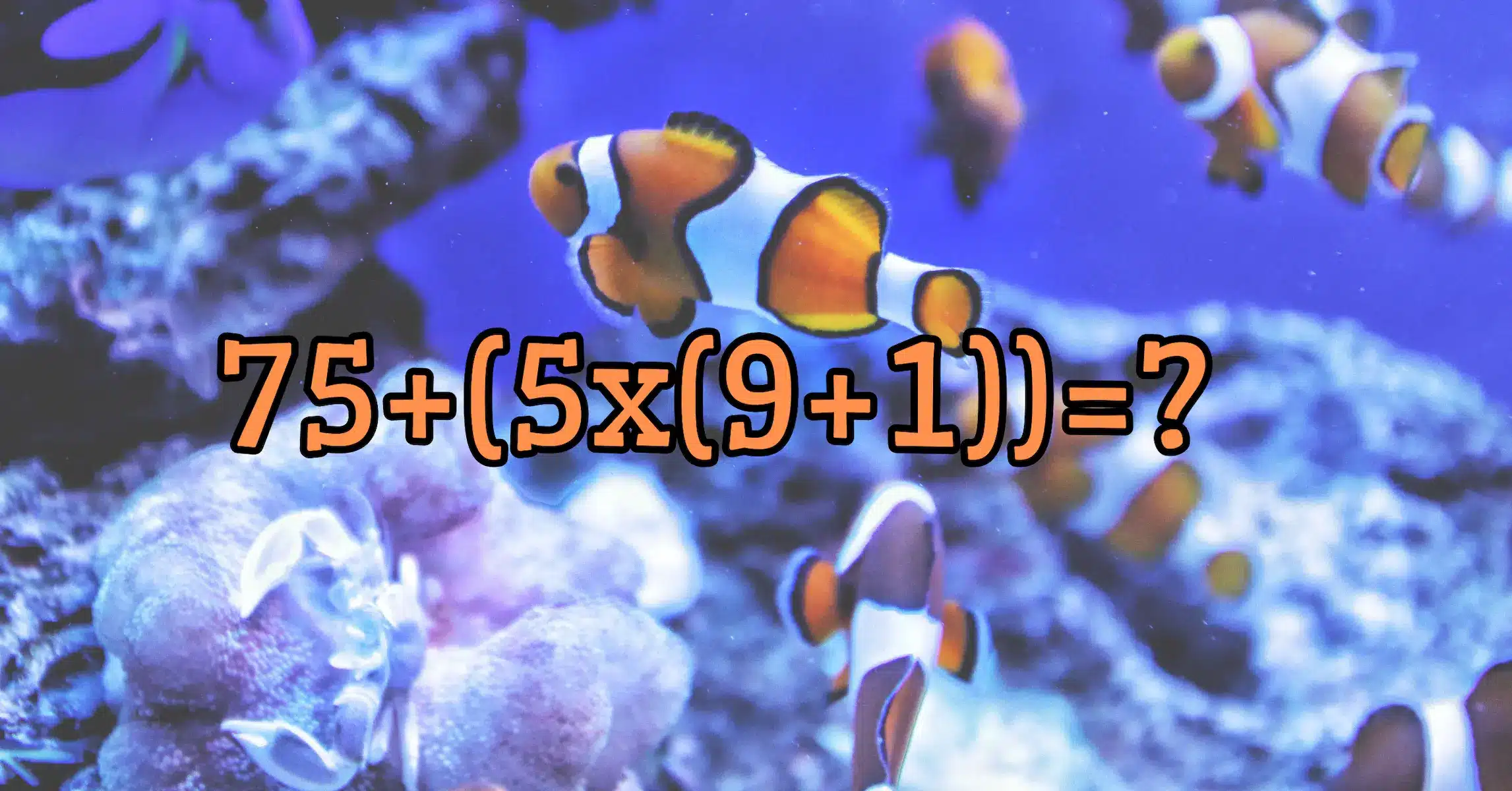 Hétvégi matek kvíz: Adott egy feladvány, neked csak a választ kell jól kiválasztanod!