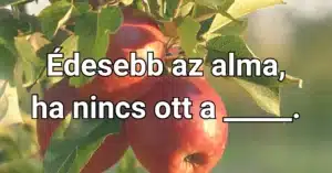 Napi közmondás kvíz: Kevesen ismerik ezt a közmondást. Te ki tudod egészíteni?