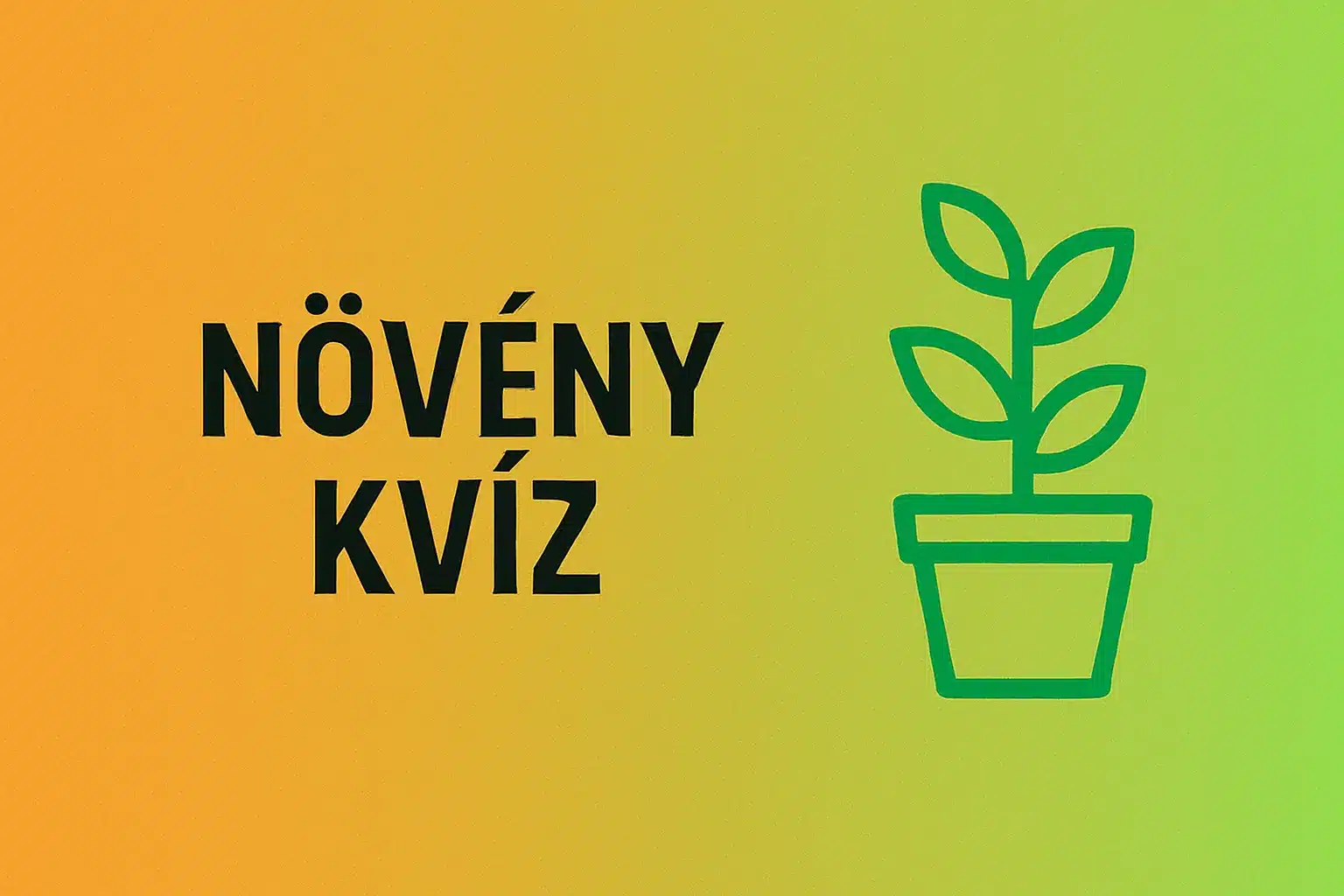 Szobanövény kvíz: Mi kell egy boldog levélkének? Te tudod?