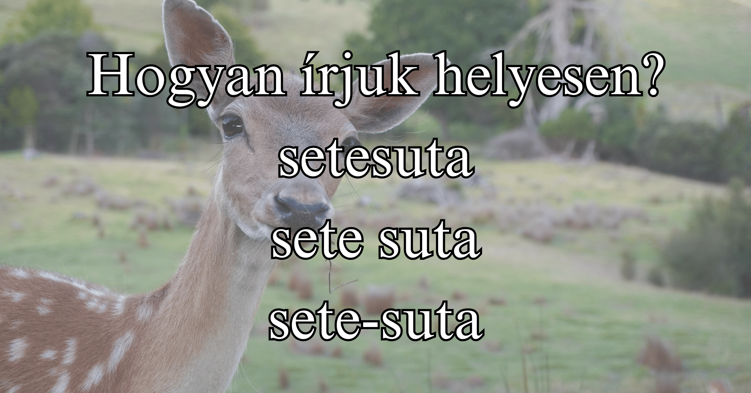 Napi helyesírás feladvány: Melyik a helyes?