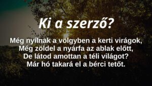 Napi irodalom feladat: Ki a szerző?