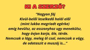 Irodalom kvíz: Ki írta ezt a szomorú verset?