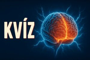 Kvíz zseniknek! Ha megoldod hibátlanra ezt az 5 kérdéses kvízt, a legokosabb emberek közé tartozol!