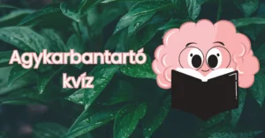 Napközbeni agykarbantartó kvíz: Ha nem voltál szín 5-ös a suliban, neki se állj!