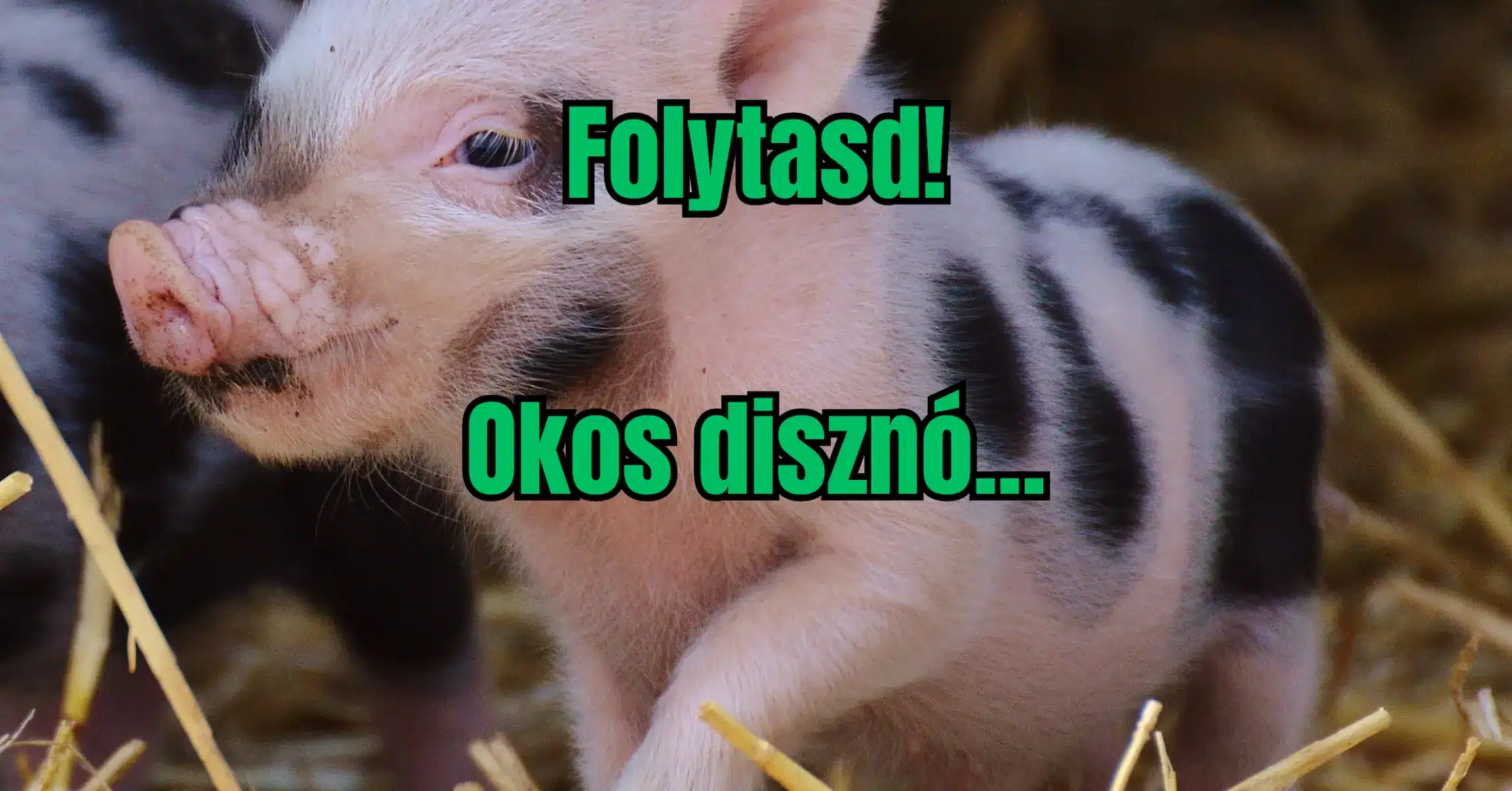 Közmondásos feladvány: Ez a feladat elgondolkodtató, nagyon kevesen ismerik! Te hallottad már?