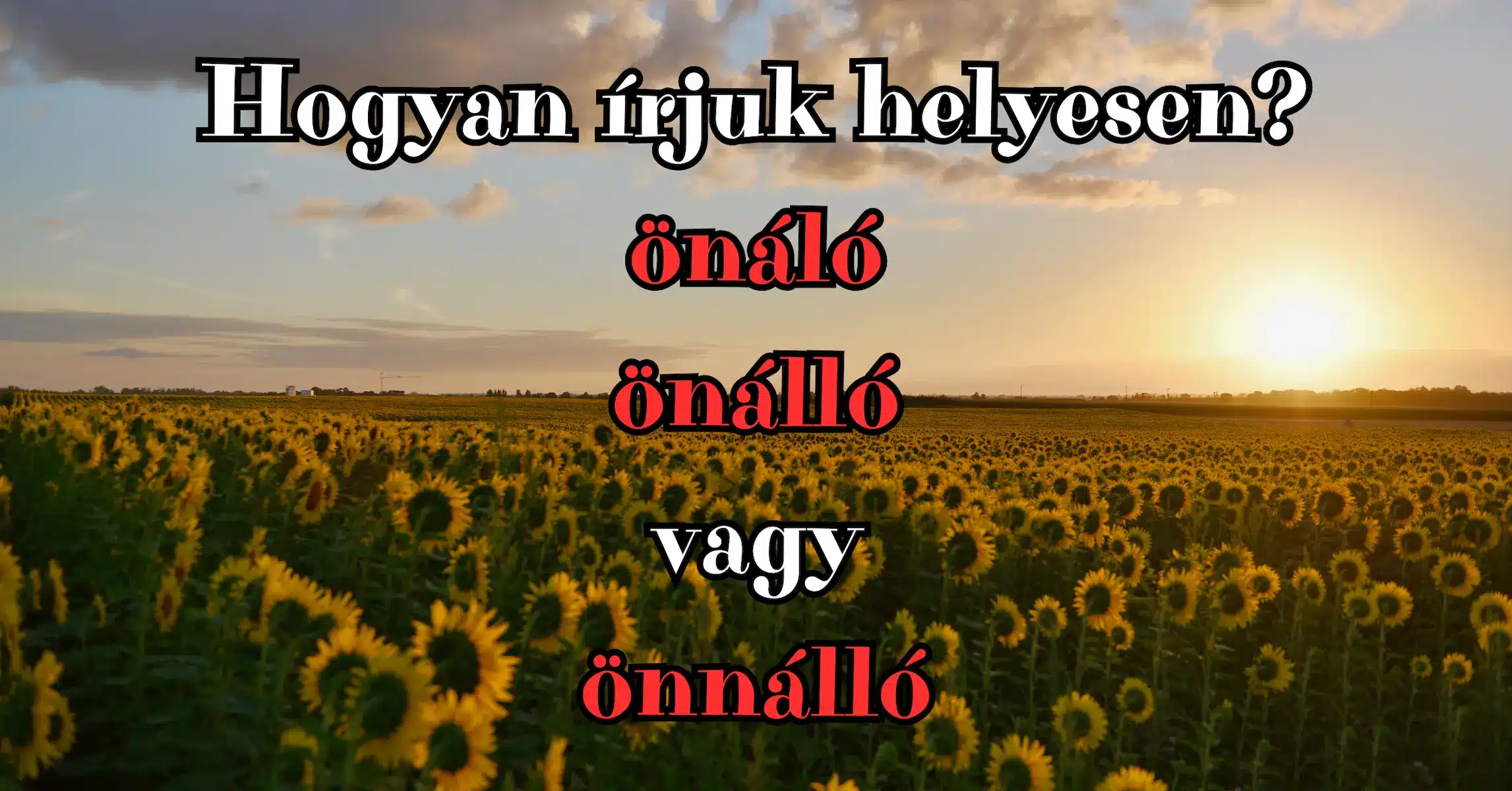 Helyesírás feladvány: Az emberek 40% tudja csak, hogyan írjuk helyesen ezt a szót!