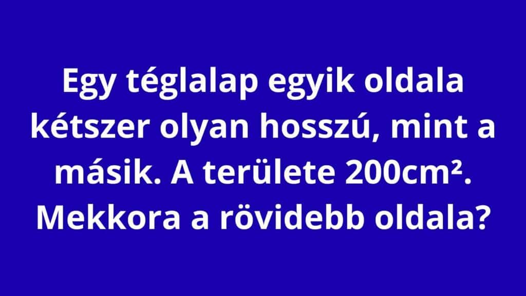 548978113 3178579428972194 5249681891337061154 n