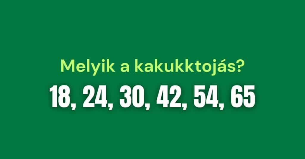 549150275 1482526512944831 2986321976615920288 n