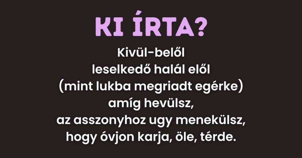 550800876 1281431969958629 2640340876281872357 n