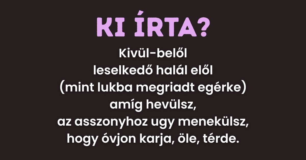Napi irodalom feladat: Ki írta ezt a gyönyörű verset?