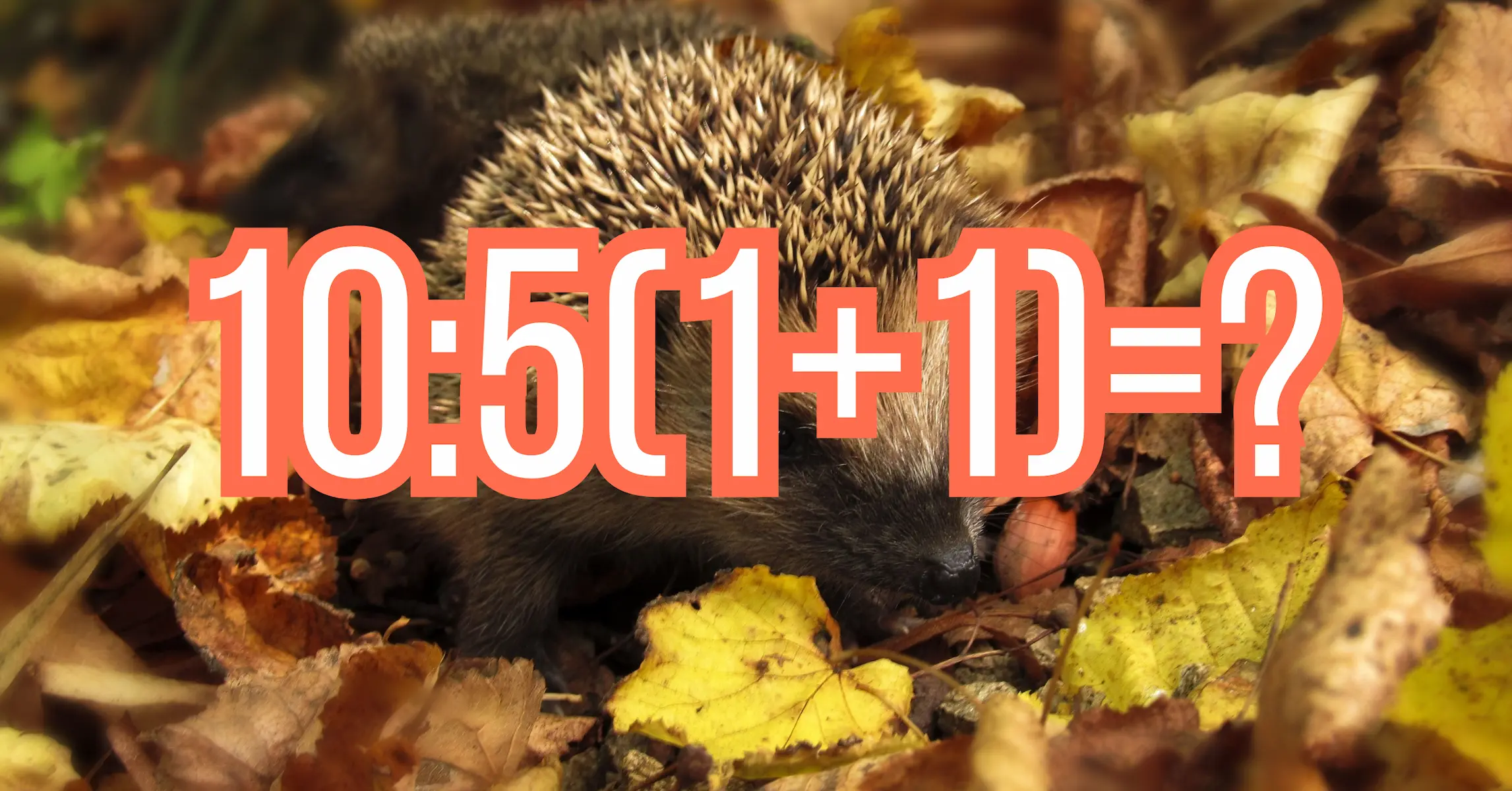 Matek kvíz: Képes vagy megfejteni ezt a trükkös feladványt? Derítsük ki!