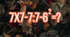 Hétvégi matek fejtörő: Melyik a jó megoldása a feladatnak?