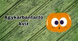 Agykarbantartó kvíz: Csak abban az esetben ess neki ennek a feladatsornak, ha minden témában val egy alap szintű tudásod!