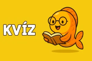 Napi agykarbantartó: Ha már 2 hibával is sikerül teljesíteni a kvízt, nagyon büszke lehetsz magadra!