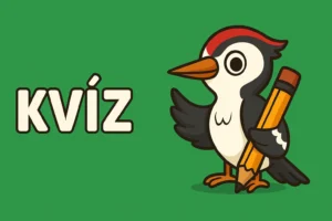 Agykarbantartó kvíz: Ha meg tudod oldani ezt az 5 kérdést nagy király vagy!