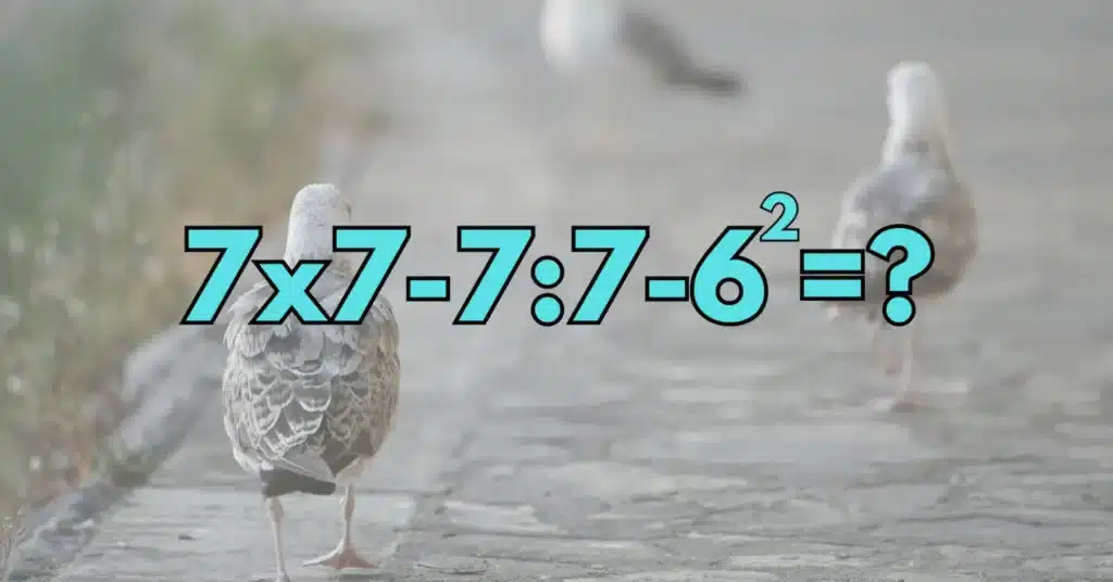 Matek 16 2048x1072 1