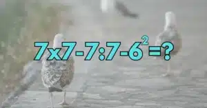 Matek feladvány: Sikerül jól kiszámolni ezt a feladatot vagy kevés hozzá a tudásod?