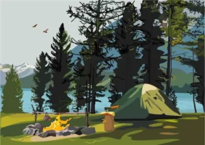 Optikai teszt: Ha villámgyors a szemed, ha 9 másodperc alatt kiszúrod a baglyot!