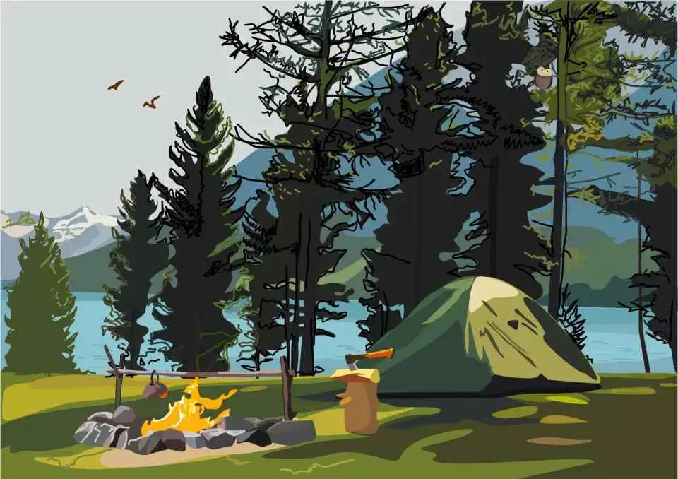 Optikai teszt: Ha villámgyors a szemed, ha 9 másodperc alatt kiszúrod a baglyot!