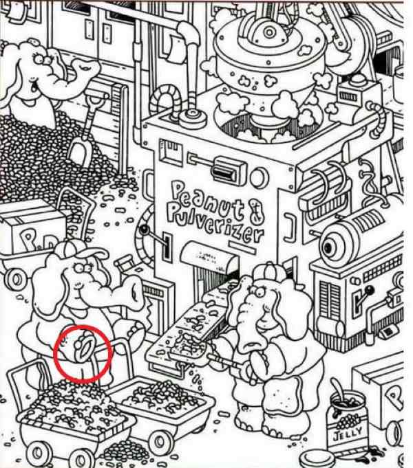 gyuru optikai megoldas