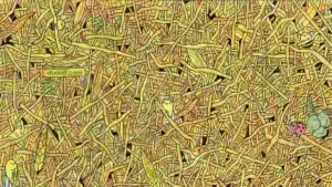 Optikai illúzió: Kivételesen magas az IQ-d, ha megtalálod a tűt a szénakazalban?