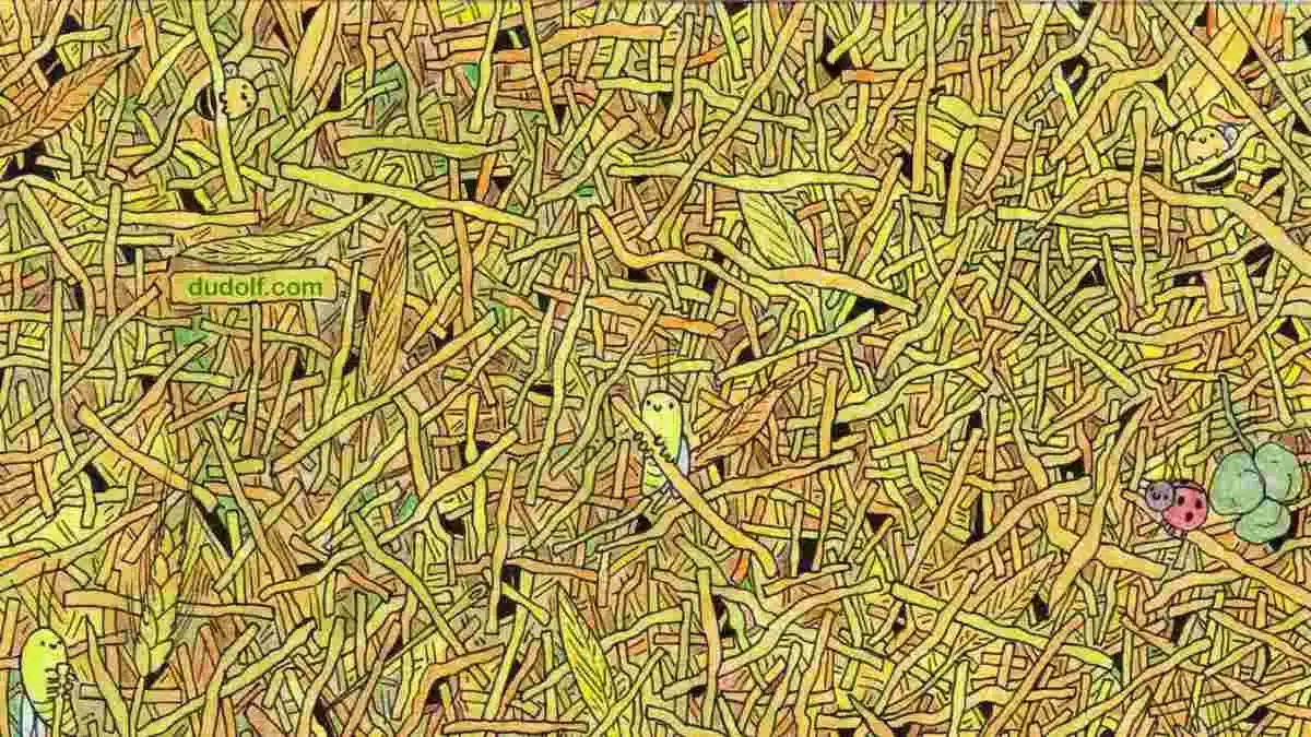 Optikai illúzió: Kivételesen magas az IQ-d, ha megtalálod a tűt a szénakazalban?