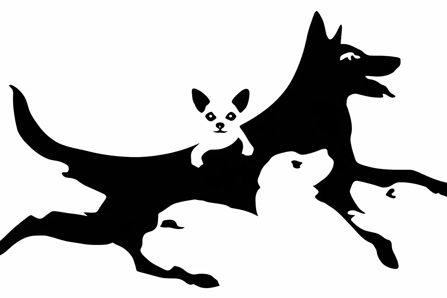 Hány darab kutyát látsz a képen? Elárulja, hány éves vagy szellemileg